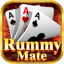 rummy c icon